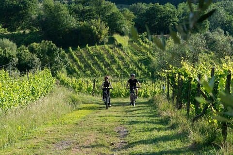 Von Lucca E-Bike-Tour und Weinprobe im Chianti