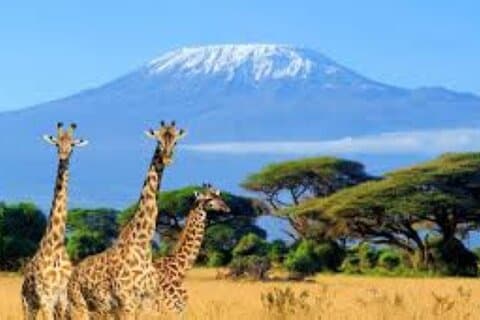 3 dagen en 2 nachten privésafari naar Amboseli National Park