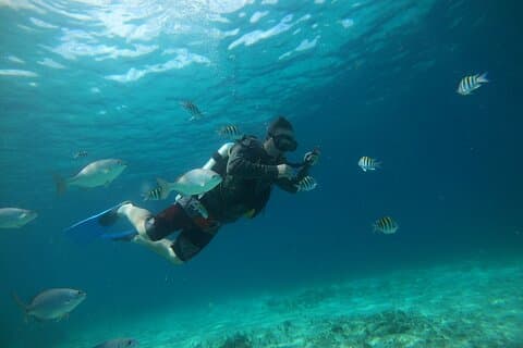 Descubriendo el Buceo en Parque Chankanaab