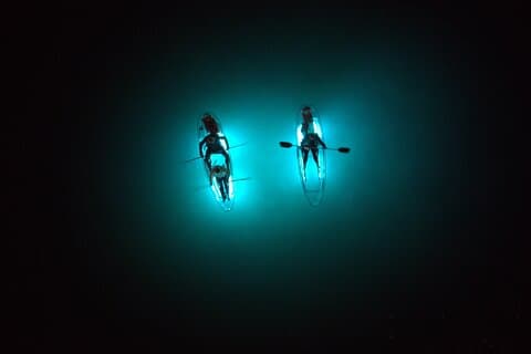 Crystal River Sunset Glow Clear Kayak Manatee Tour Free Photos
