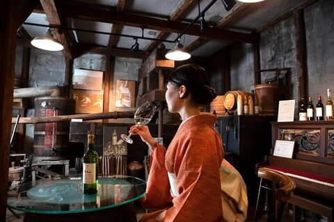 Osaka Winery Tour with Wine Tasting & Vineyard Walk
