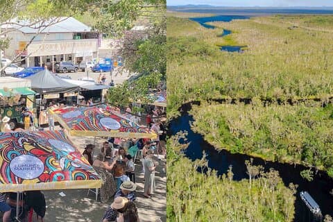 Excursión a los mercados de Eumundi y los Everglades de Noosa con Eco Safari