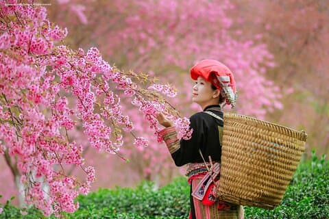 2-Day da Sapa: Majestic Valleys-True Homestay - Fansipan - Bici