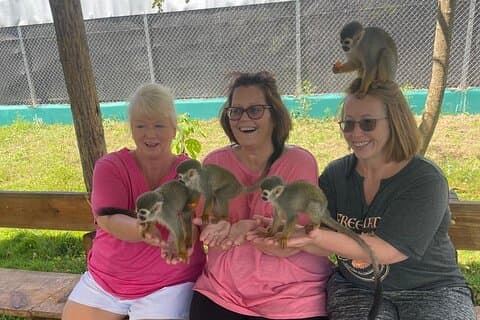 Excursão de meio dia em Puerto Plata City e Monkey Home
