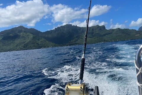 Big trolling in Moorea