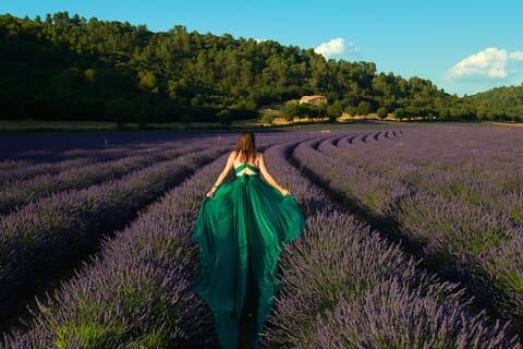 Lavender Field Photoshoot