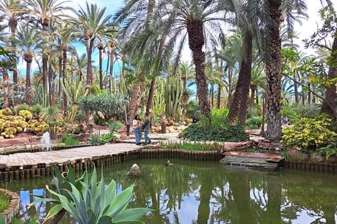 Alicante og Elche Small Group Tour med Palm Grove og Castle