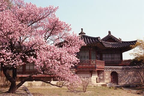 Seul Analog Tour