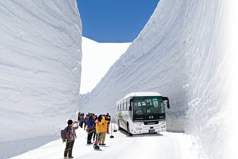 Excursión de un día a la ruta alpina de Tateyama Kurobe desde Nagoya