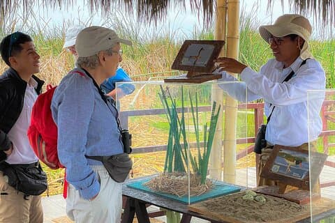 リマ最後の小さな野生動物保護区