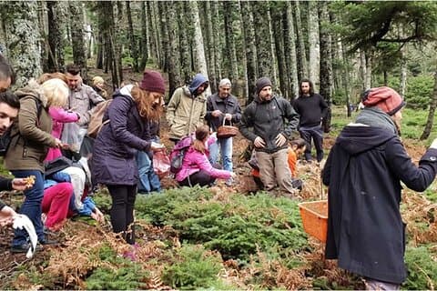 Excursão de dia de caça de trufas a partir de Atenas com refeição do lado do mar