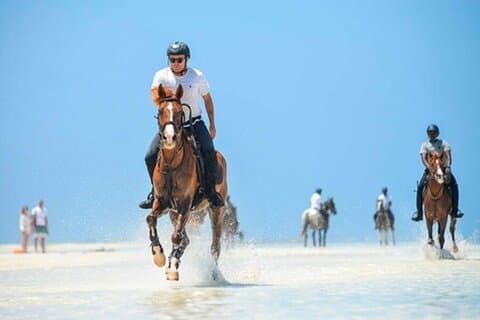 8 dagars Zanzibar och Tanzania Escape Blending Paradise Adventure