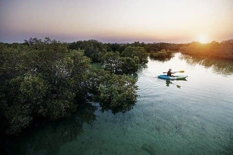 Al Thakira Mangrove Kayaking Eventyr med Transfer