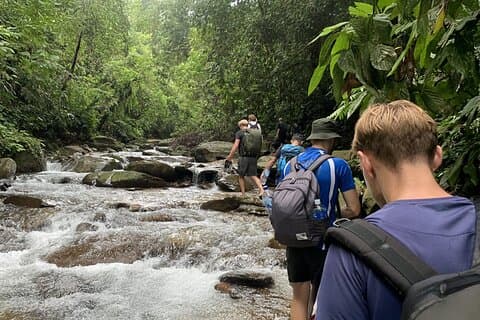Jungle trektocht Bahorok