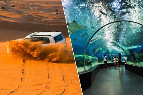 Combo Desert Safari & Dubai Aquarium & UnderwaterZoo Bilhetes somente