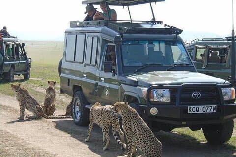 Safari di 5 giorni in campeggio con tenda budget Masai Mara da Nairobi