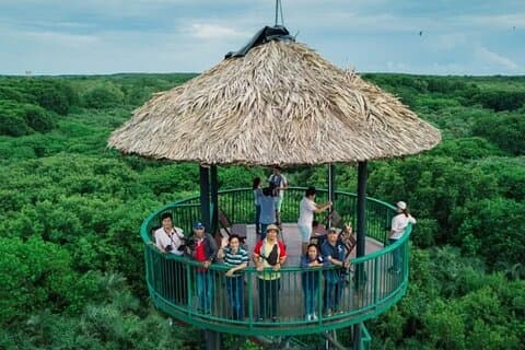 Expérience écologique privée à Vam Sat Mangrove