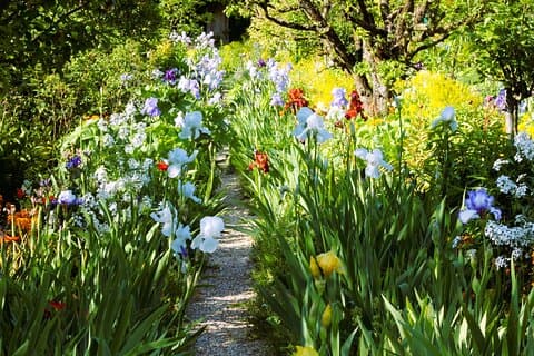 Giverny Claude Monet Casa e giardini Tour di 5 ore da / per Parigi