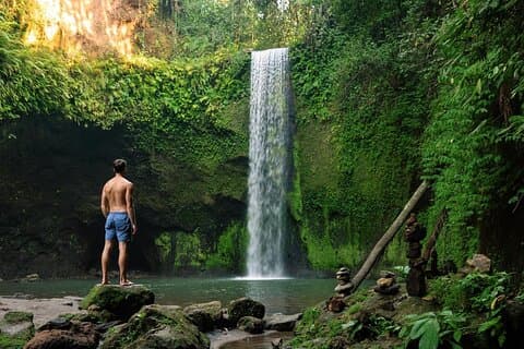 Bali : All-Inclusive Ubud Private Tour