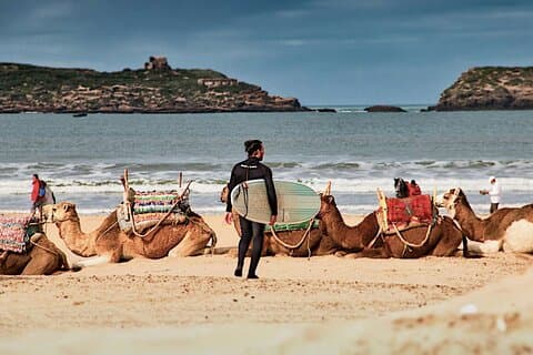 Excursão de um dia para Essaouira de Marrakech