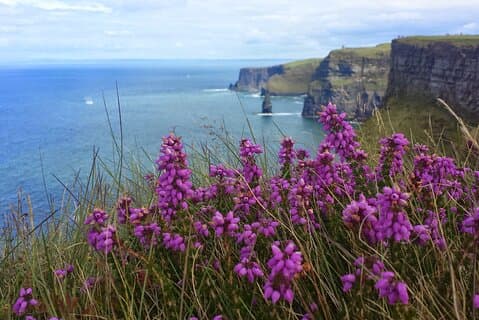 Privat dagstur til Cliffs of Moher fra Dublin