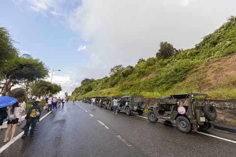 Excursión en jeep privado a la península de Son Tra desde Da Nang