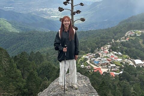 Vandring genom skogen Sierra Norte i Oaxaca