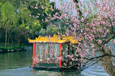 Hangzhou Private Tagestour von Shanghai mit privatem Transfer