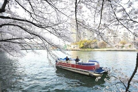Nachtkreuzfahrt auf dem Higayoko River