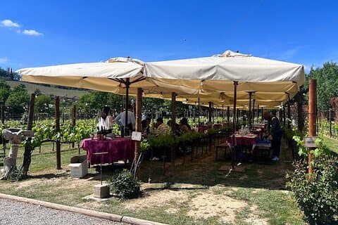 Florence: Siena and San Gimignano, Full Day Small Group Wine Tour