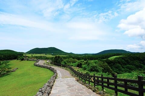 Kryssning Layover: Privat Jeju Highlight Tour