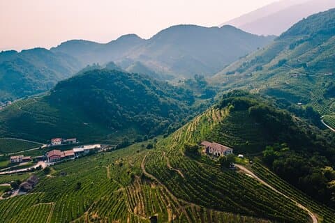 Excursão privada de um dia inteiro de degustação de vinhos Prosecco de luxo a partir de Veneza