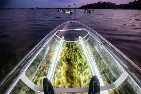 Venice Clear Kayak Glass Bottom LED Night Tour