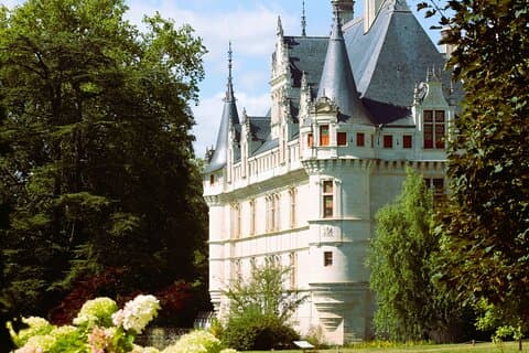 Loire Valley Castles VIP Chauffeur Driven Tour from Paris 12hrs