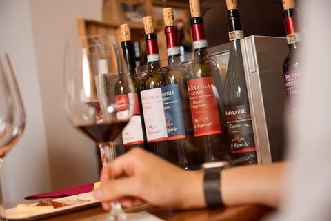 Tour para descubrir el Arte del Vino en Valpolicella