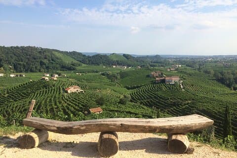 Volledige dag wijntour en proeverij in de Prosecco regio