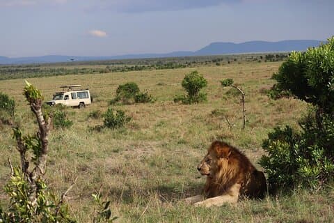 7 Dagen Kenia