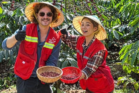 Hidden Dalat: A Coffee, Waterfall & Countryside Exploration
