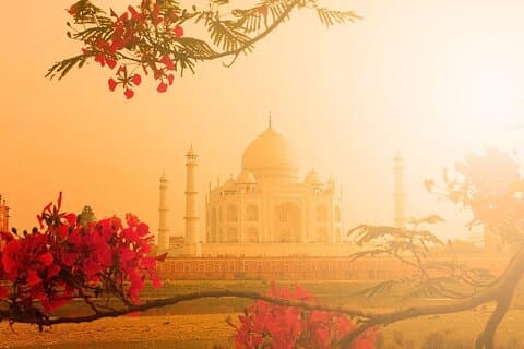 Excursión al Taj Mahal el mismo día en tren