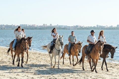 Ridning på stranden med matprovning