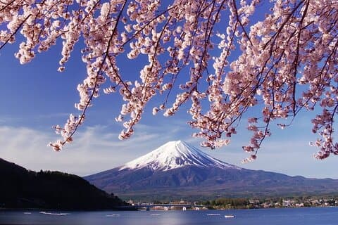 Tokio: Mount Fuji Eendaagse trip Kawaguchimeer & Yamanakameer