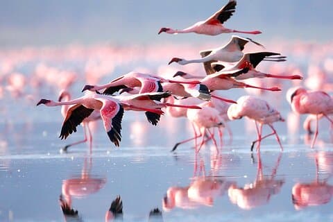 15 Day Combined Thrill of Paradise and Wilderness Exploration