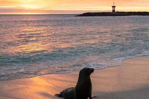 Galapagos the Enchanted Islands 5 Days