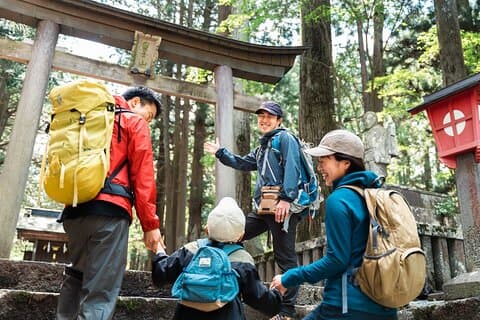 Half-Day Mt. Fuji Scenic Drive: 3-Hour Tour