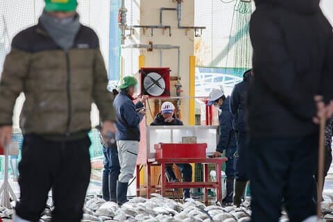 Visita guiada privada ao mercado de leilões de atum em Nachi-Katsuura