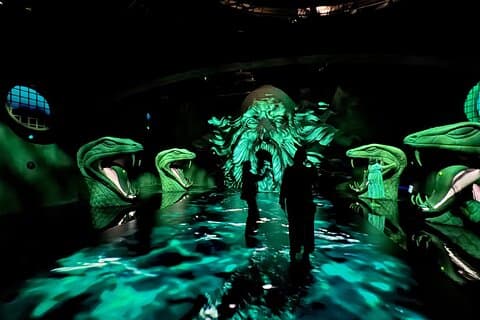 Singapur Harry Potter: Visiones de los boletos mágicos
