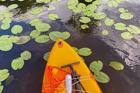 Stand Up Paddle-tur fra Tirana Albanien til Skadar-søen og Buna-floden