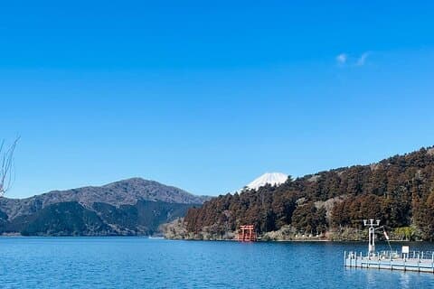 From Tokyo: Mt Fuji private 1 day customizable tour in English