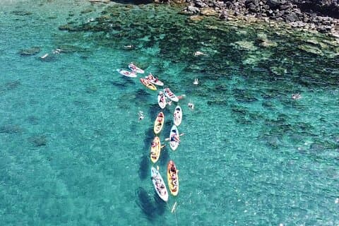 Cape Cat Kayak and Snorkel on the Mermaid Reef