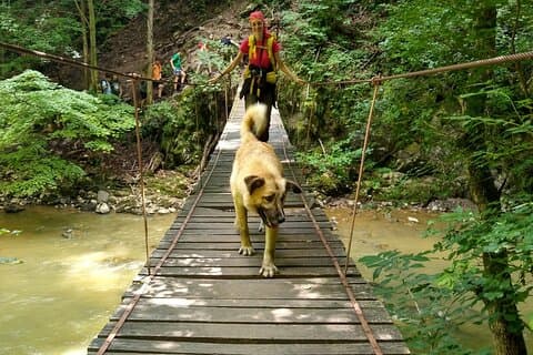 Day Trip to the Land of Hidden Caves